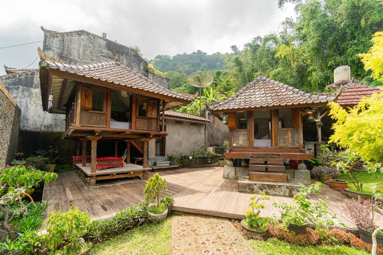 Вілла Four Monkeys House Бедуґул Екстер'єр фото